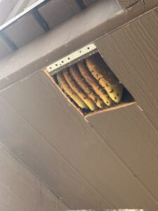 Beehive removal from porch roof
