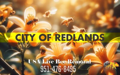 Beekeepers of Redlands