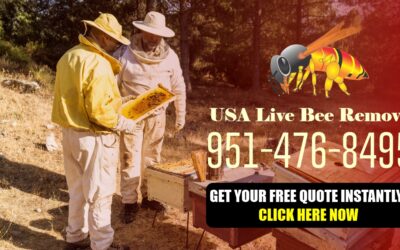 Get Your Free Quote for Live Bee Removal Today!