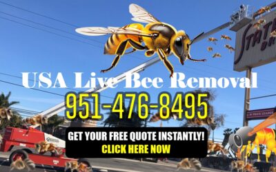 The Bee Guys Team in Orange County