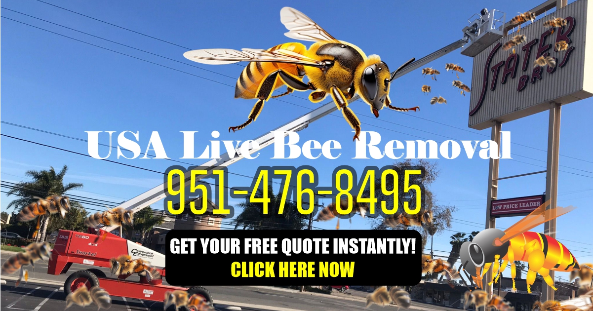 Bee Removal Orange County