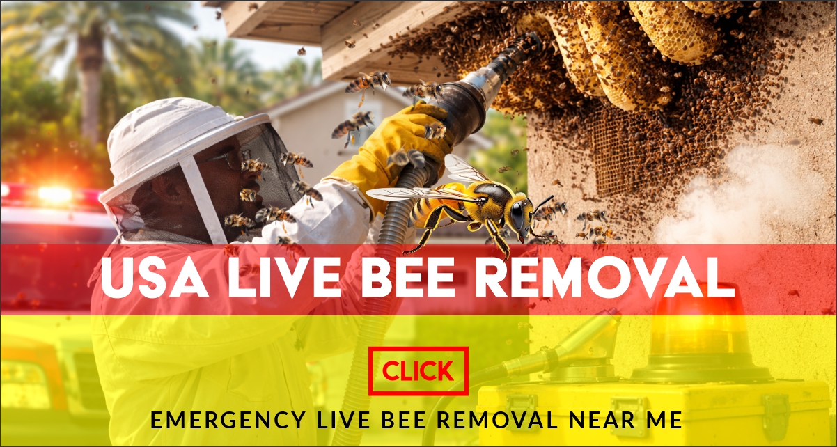 Free Bee Removal Near Me